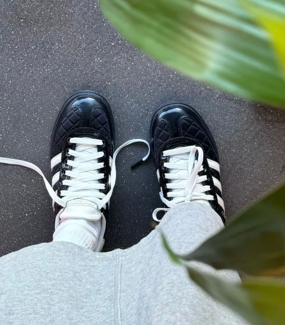 bf004d37-5735-452e-9456-e715998f40b1